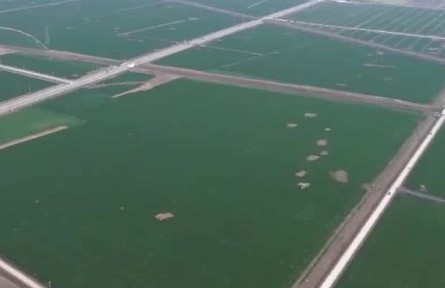 科技助力春耕 筑牢粮食丰收基础