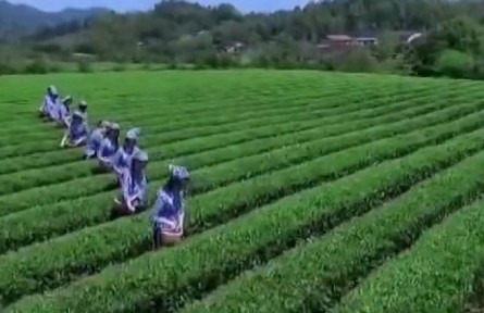 枝叶总关情 湖南织牢织密民生兜底保障网