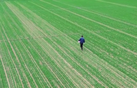 陕西：提升农业技术含量 带动粮食增产增收