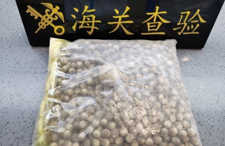 海关科普：从国外引进植物种子的检疫流程