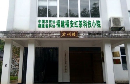 福建福安红茶科技小院成立 促进茶产业高质量发展