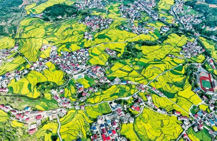 《求是》杂志编辑部：做好新发展阶段“三农”工作的行动纲领