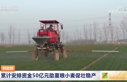 财政部：累计安排资金50亿元助夏粮小麦促壮稳产