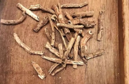 健康问答 | 怎样煎中药、喝中药才能获得好药效？