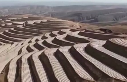 宁夏：严守耕地红线 保障粮食安全
