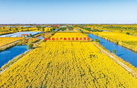 山东：奋力开创新发展阶段“三农”工作新局面