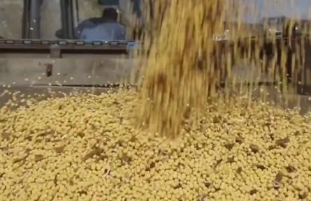 黑龙江：一年好景看春耕 大豆扩种迎先机