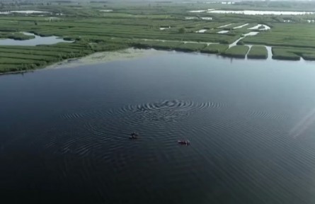 河北：雄安新区设立五周年 白洋淀水质改善 步入国家良好湖泊行列