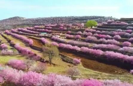 大美中国（2022年4月2日）