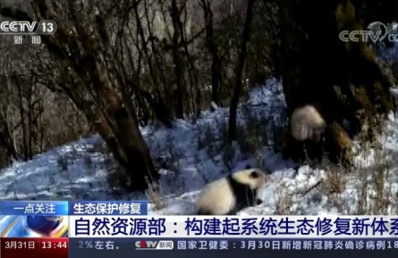 自然资源部：构建起系统生态修复新体系