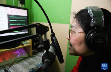 残疾人就业 employment for disabled workers