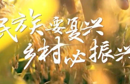 民族要复兴 乡村必振兴
