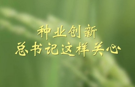 种业创新，总书记这样关心