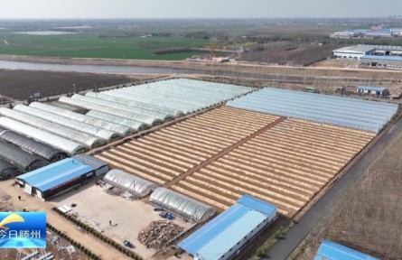 山东枣庄滕州市：食用菌产业助力乡村振兴