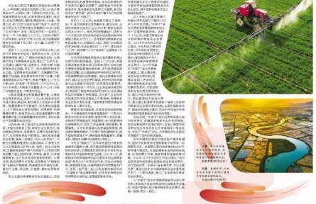 粮食安全保障体系加快建立