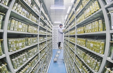探访湖南省农作物种质资源库