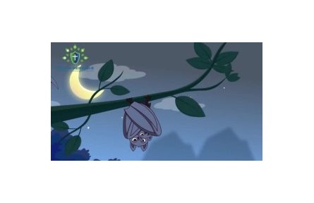 生物安全知识科普：蝙蝠