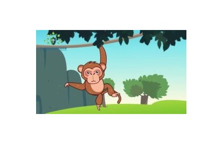 生物安全知识科普：猕猴