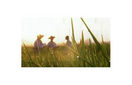 六级大型纪录片《种子 种子》| 第三集：繁盛沃土