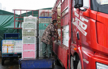 货运物流畅通 smooth freight and logistics