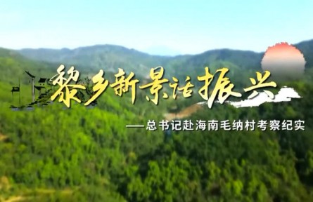 黎乡新景话振兴——总书记赴海南毛纳村考察纪实