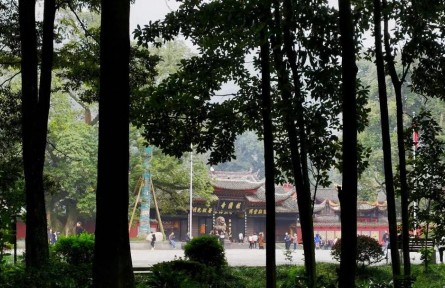 探秘峨眉山珍稀植物园