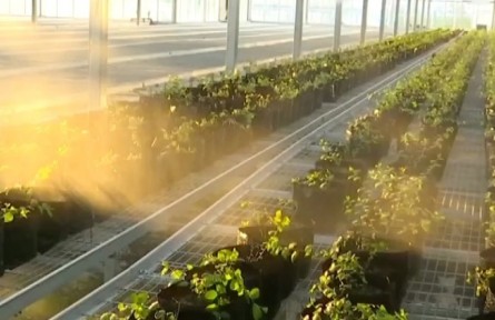 贵州：大数据技术进村入户 为乡村振兴添智提质