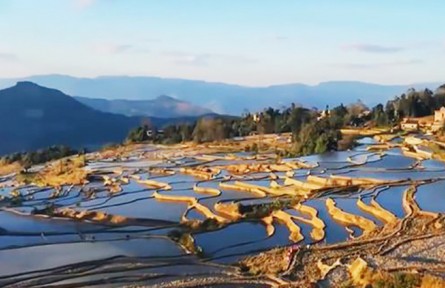 彝族小伙王然玄：守住乡愁奔向小康 让绿水青山变金山银山