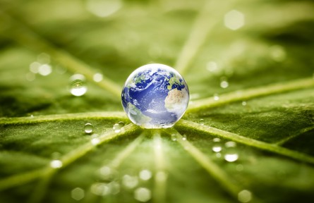 科技名词 | 环境信息公开  environmental information disclosure