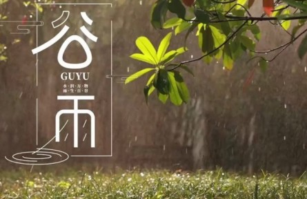 今日谷雨：邂逅春天最后一场奇遇