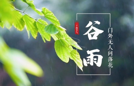 谷雨，门外无人问落花