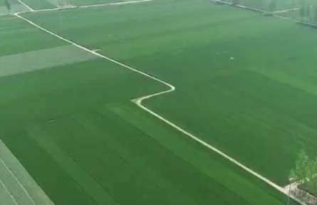 一季度山东农业生产稳定 农产品供应充足