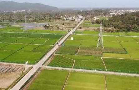 海南：探访国家南繁科研育种基地