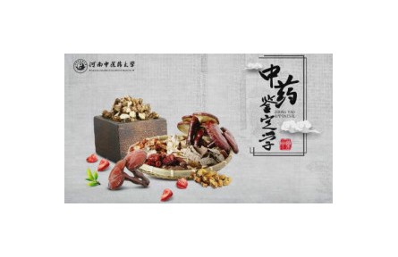 《中药鉴定学》系列讲座