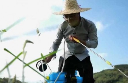 水稻栽培师李建武：扎根稻田 做一粒“好种子”