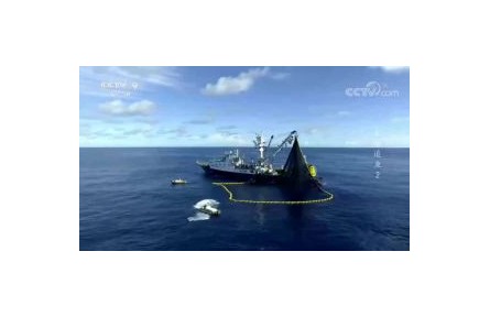 《大海追鱼》第2集 逆风逐浪