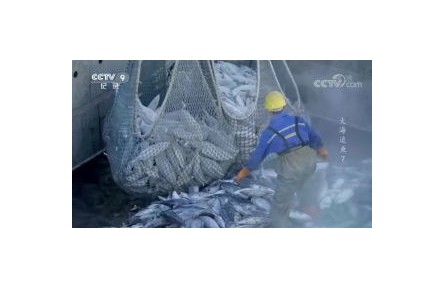 《大海追鱼》第7集 满载而归