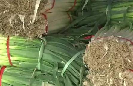 北京新发地：加强调运组织货源 “菜篮子”供应平稳