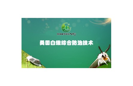 《美国白蛾综合防治技术》系列讲座视频