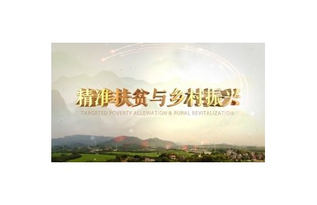 《精准扶贫与乡村振兴》讲座系列视频