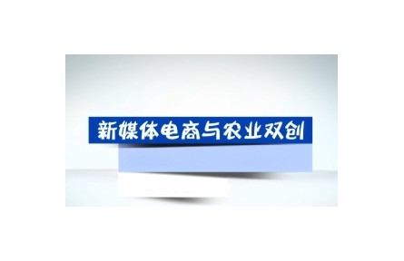 《新媒体电商与农业双创》讲座系列视频