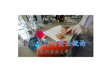 《​食品质量与安全概论》讲座系列视频
