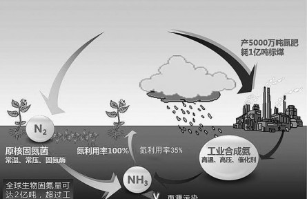 替代氮肥：生物固氮有了路线图