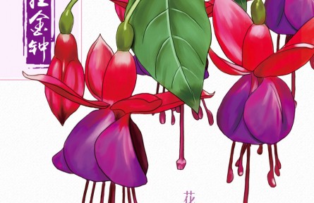 物种故事 | 倒挂金钟：植物界的色彩搭配师就是我