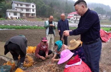“新农人”于斌武：20年大山耕耘 让硒土地上遍开“土豆花”