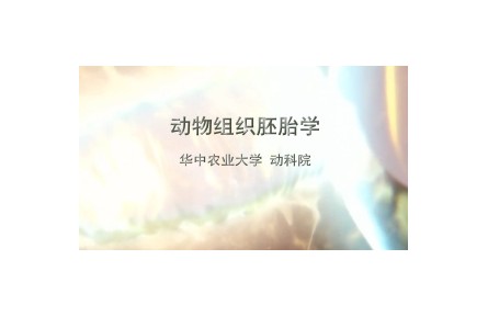 《动物组织胚胎学》讲座系列视频
