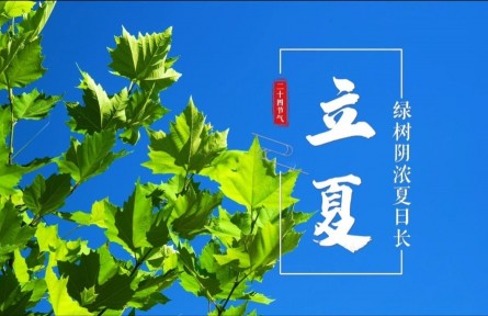 立夏，绿树阴浓夏日长