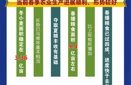 稳住“中国粮” 夯实压舱石——农业农村部副部长邓小刚谈“三农”热点话题