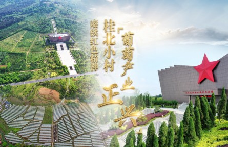 赓续红色精神 桂北小村葡萄产业正兴