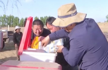 内蒙古：推广大豆玉米带状复合种植 促粮食增产